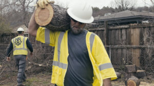 Tree Trimming Crew removing waste from yard.