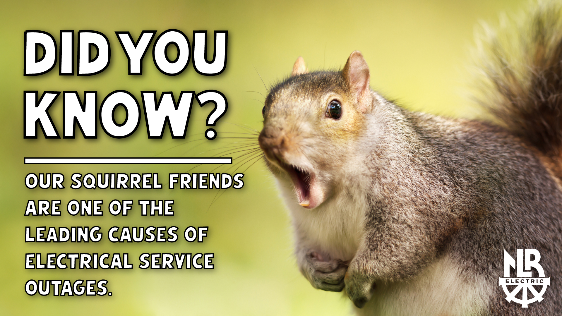 Squirrel cause thousands of outages every year in the United States.